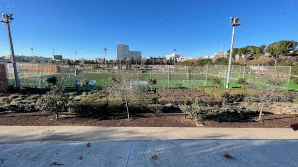 Campo de Canal Ocio y Deporte